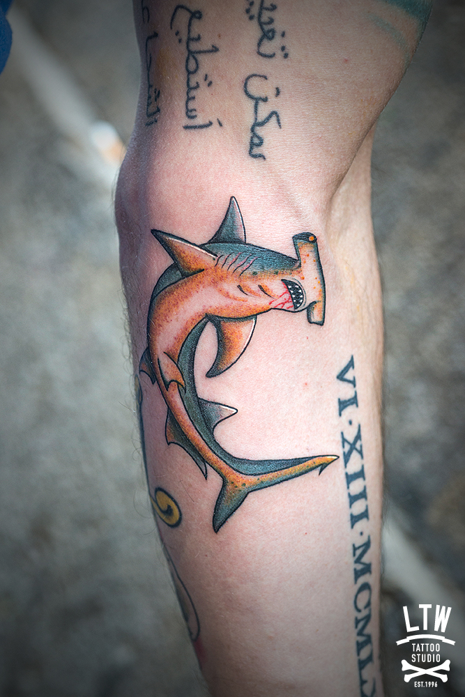 Tiburón Martillo tatuado por Dani Cobra