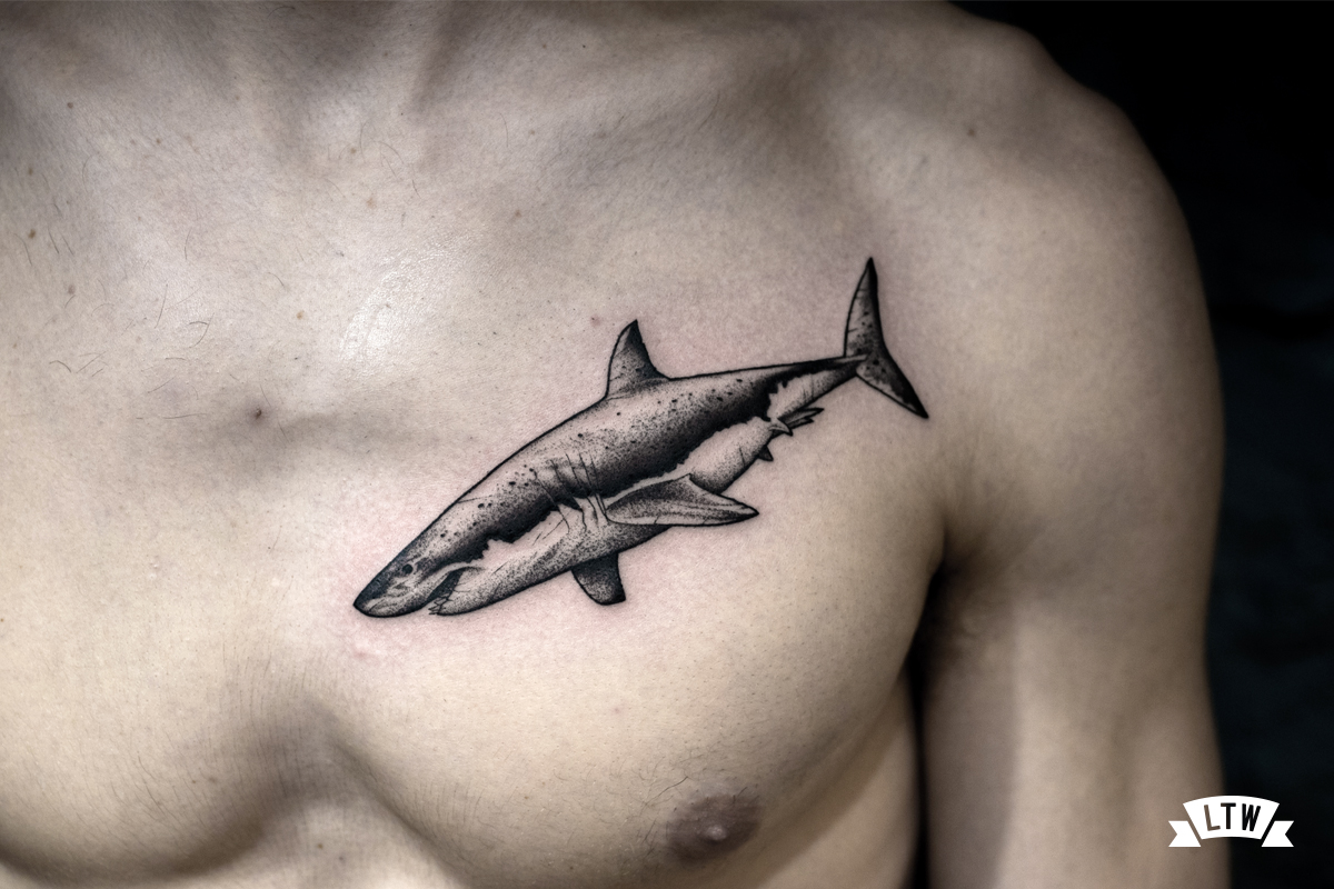 Tiburón tatuado por Andreu Matallana