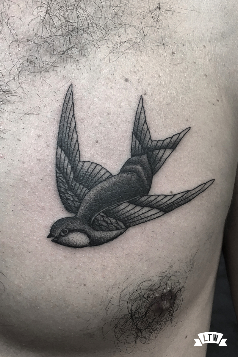 Swallow tattooed by Dani Cobra in black and grey