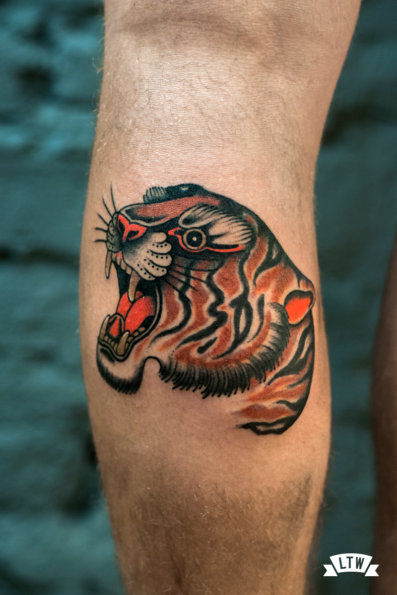 Cap de tigre tatuat pel Ricardo Contreras