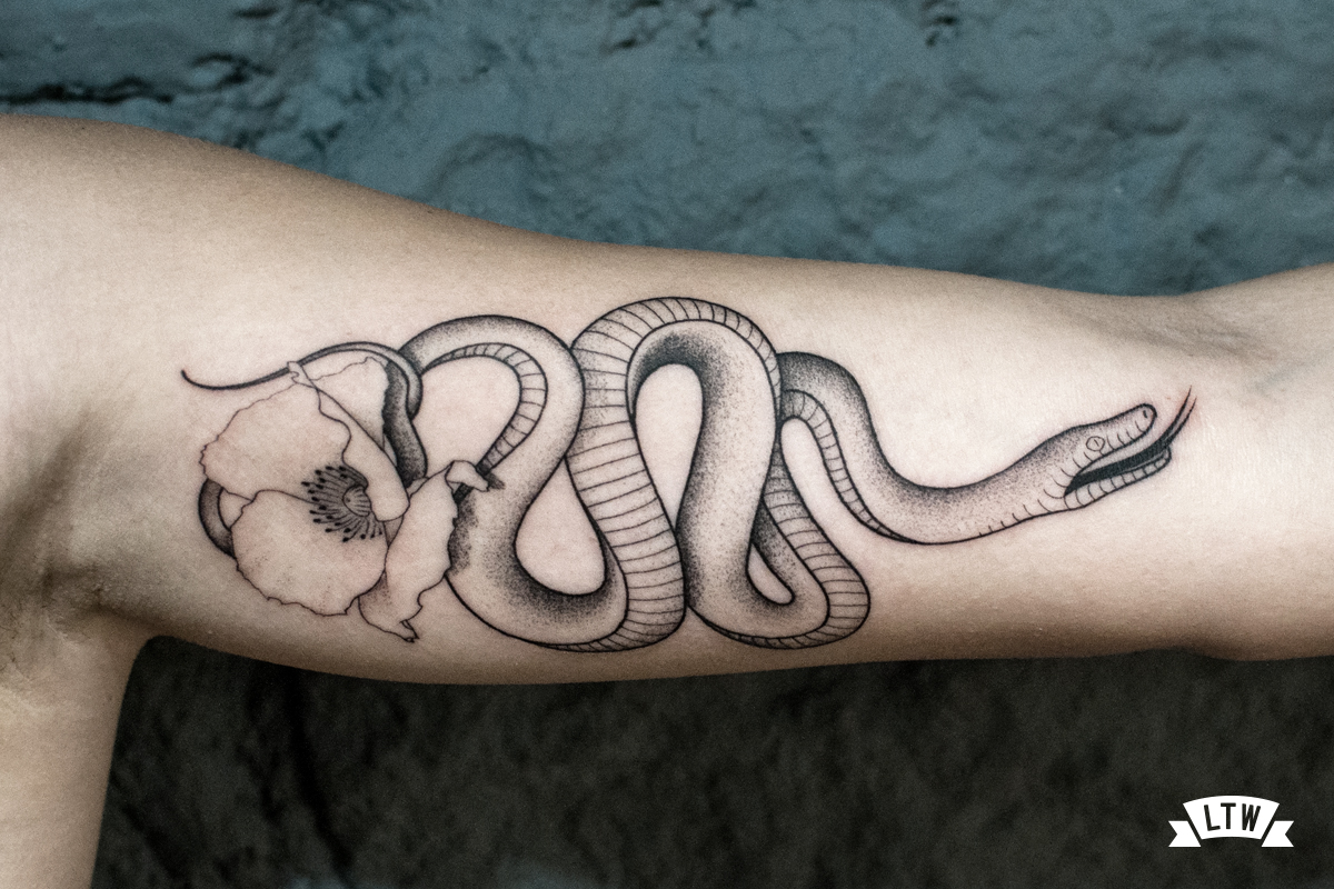 Snake with flower tattooed in black and grey by Andreu Matallana