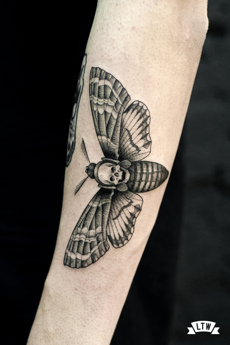 Polilla tatuada per l'Andreu Matallana