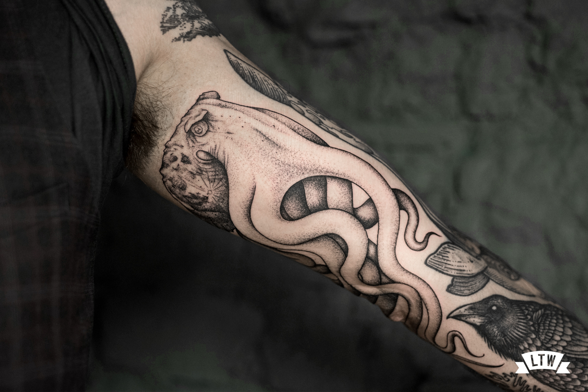 Octopus tattooed by Andreu Matallana in black and grey