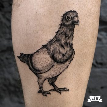 My brother's new tattoo | It's a scruffy pigeon inspired by … | Flickr
