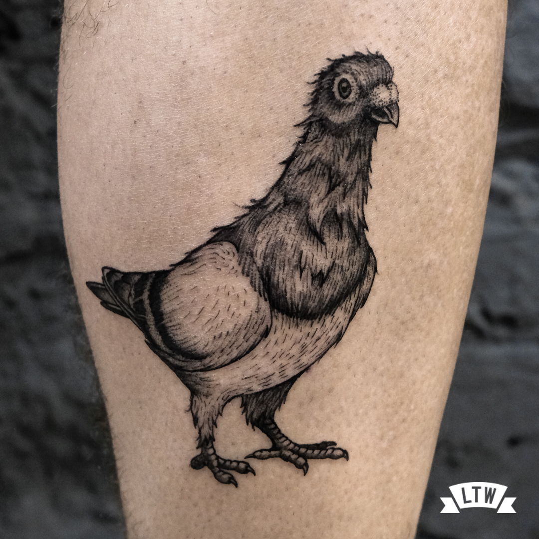 Pigeon tattooed by Andrés