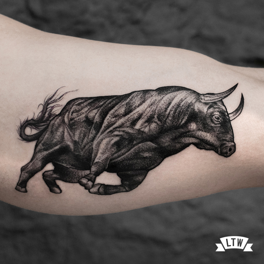 Toro tatuat per l'Andreu