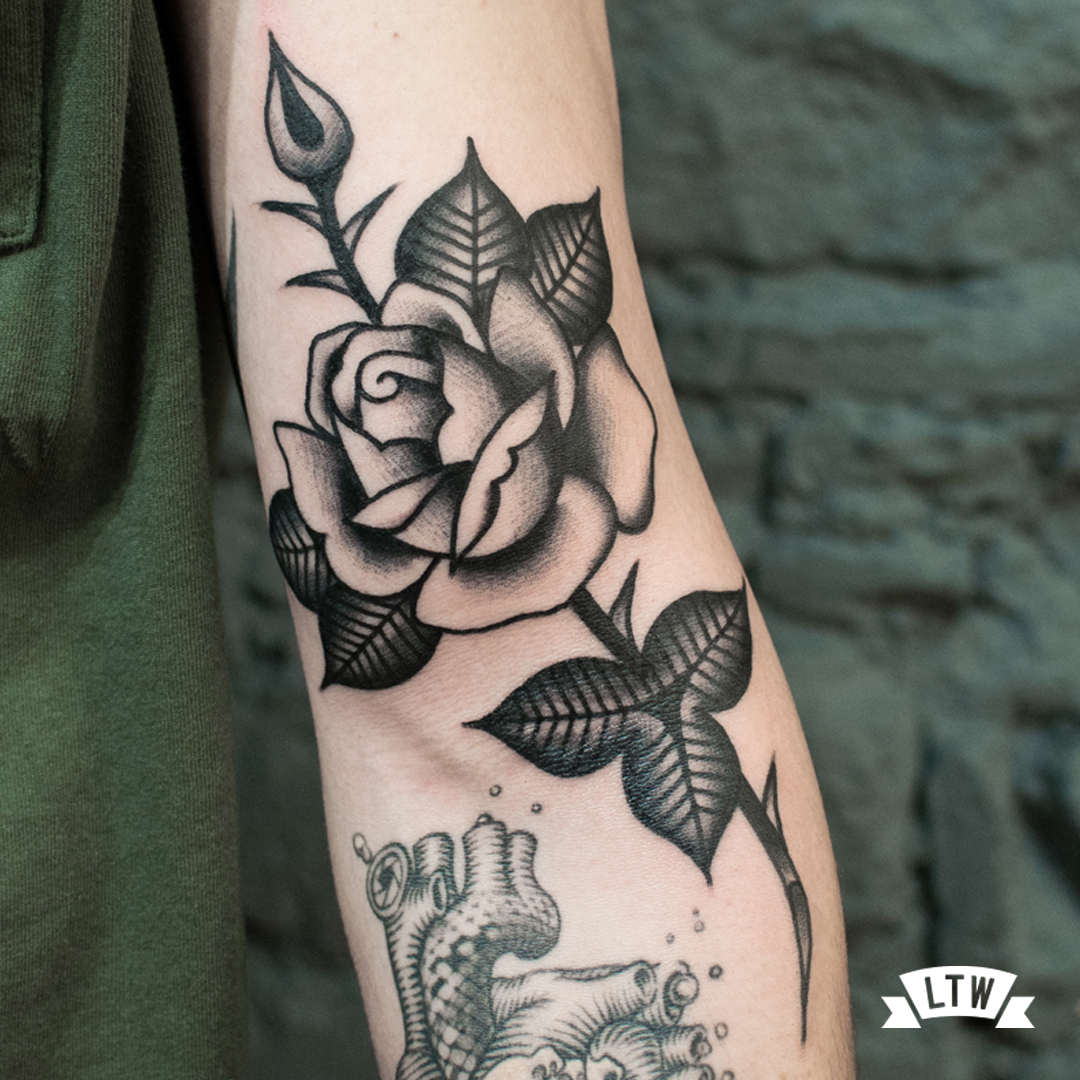 Black and white rose tattooed by Dennis