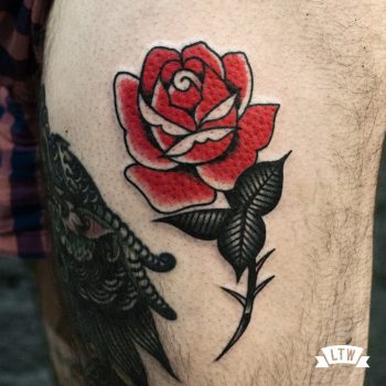 Rosa vermella tatuada per en Dennis